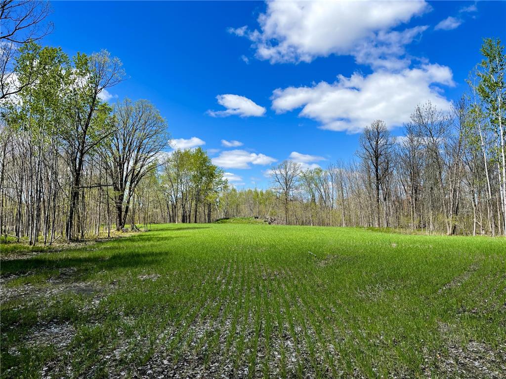 TBD 15th Street NW Bemidji Twp MN 56601 7040581 image2