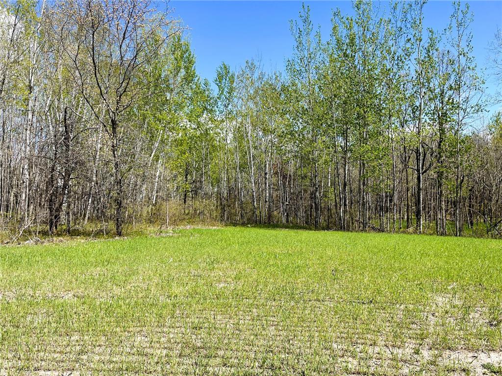 TBD 15th Street NW Bemidji Twp MN 56601 7040581 image20