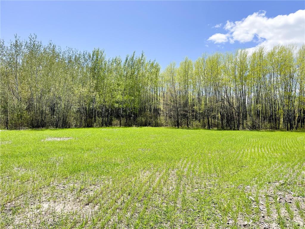 TBD 15th Street NW Bemidji Twp MN 56601 7040581 image21