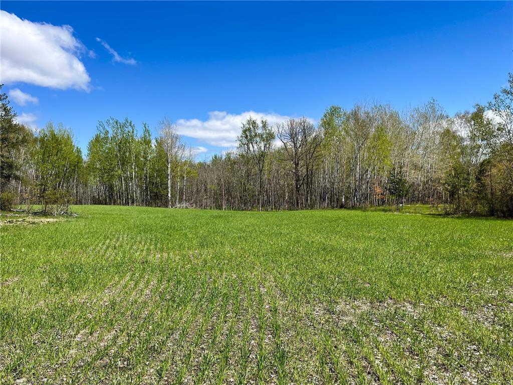 TBD 15th Street NW Bemidji Twp MN 56601 7040581 image22