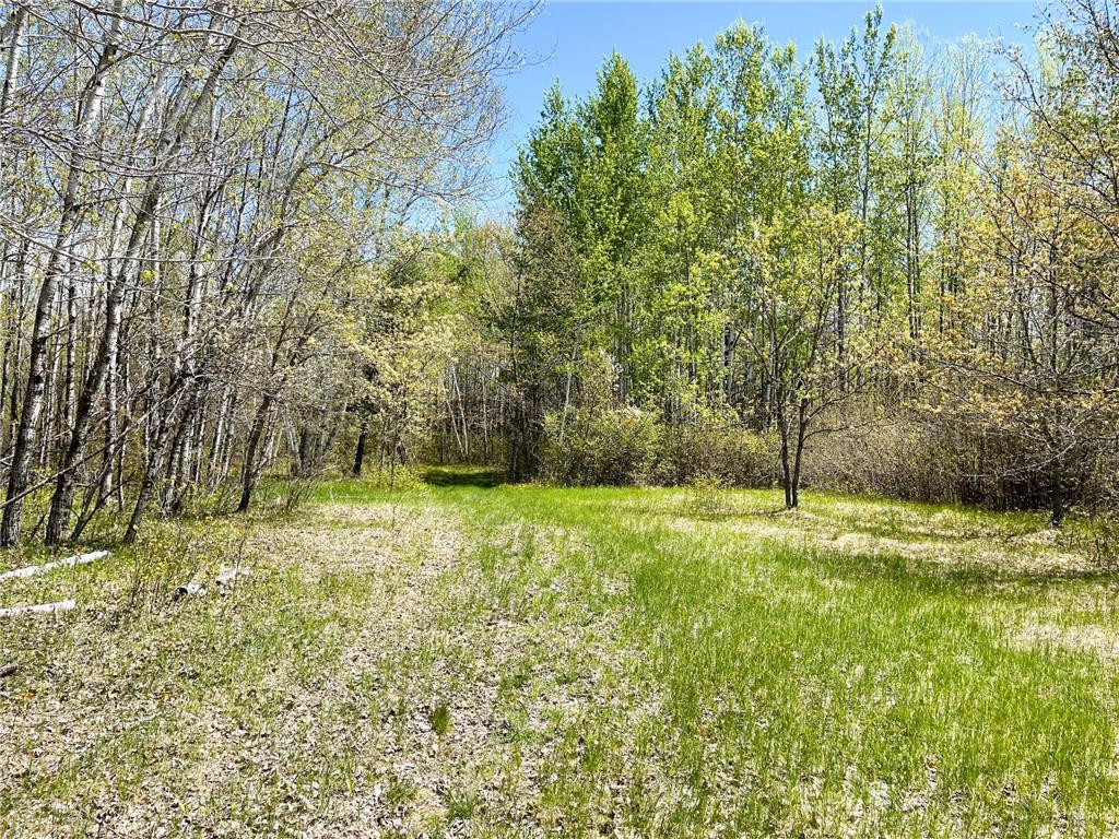 TBD 15th Street NW Bemidji Twp MN 56601 7040581 image23