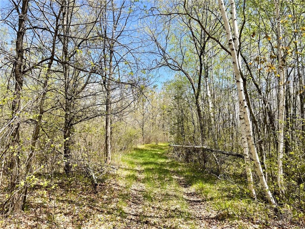 TBD 15th Street NW Bemidji Twp MN 56601 7040581 image24