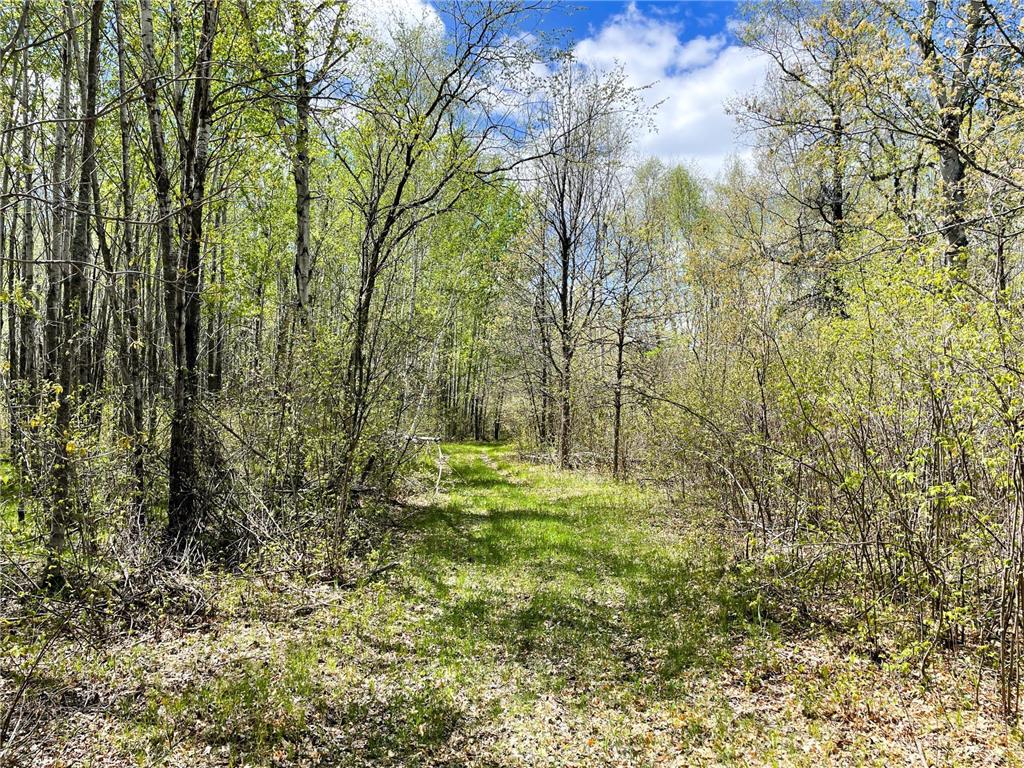TBD 15th Street NW Bemidji Twp MN 56601 7040581 image25