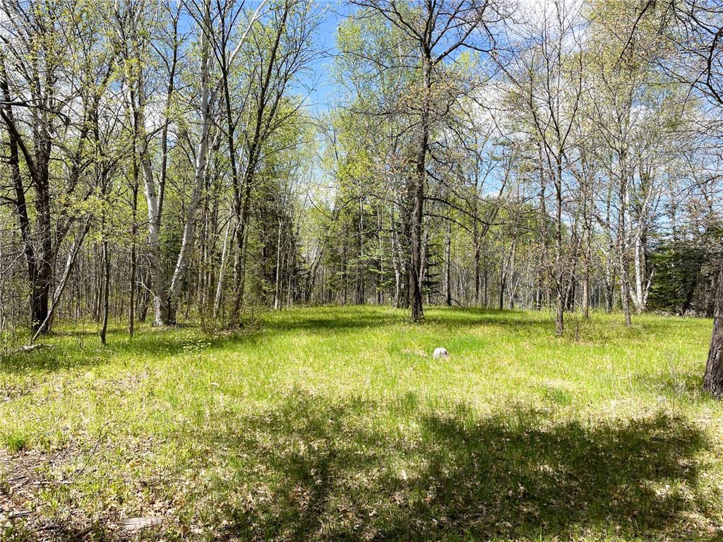 TBD 15th Street NW Bemidji Twp MN 56601 7040581 image26