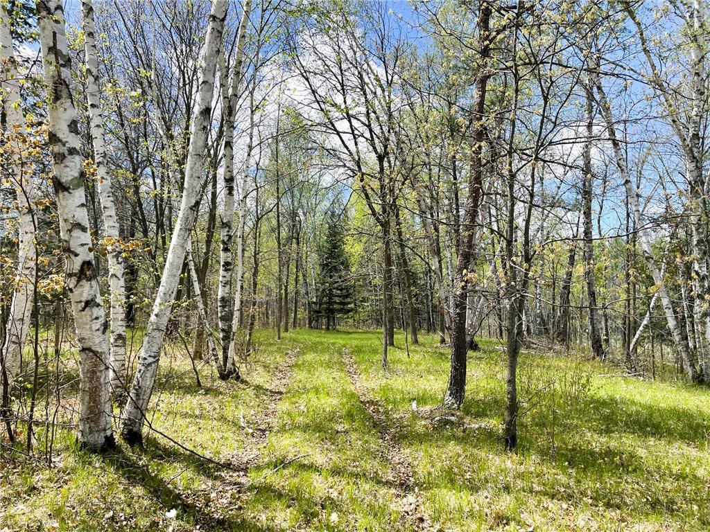 TBD 15th Street NW Bemidji Twp MN 56601 7040581 image28