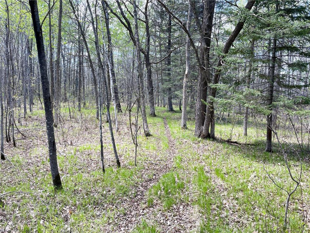TBD 15th Street NW Bemidji Twp MN 56601 7040581 image29