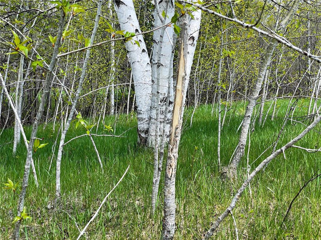 TBD 15th Street NW Bemidji Twp MN 56601 7040581 image3