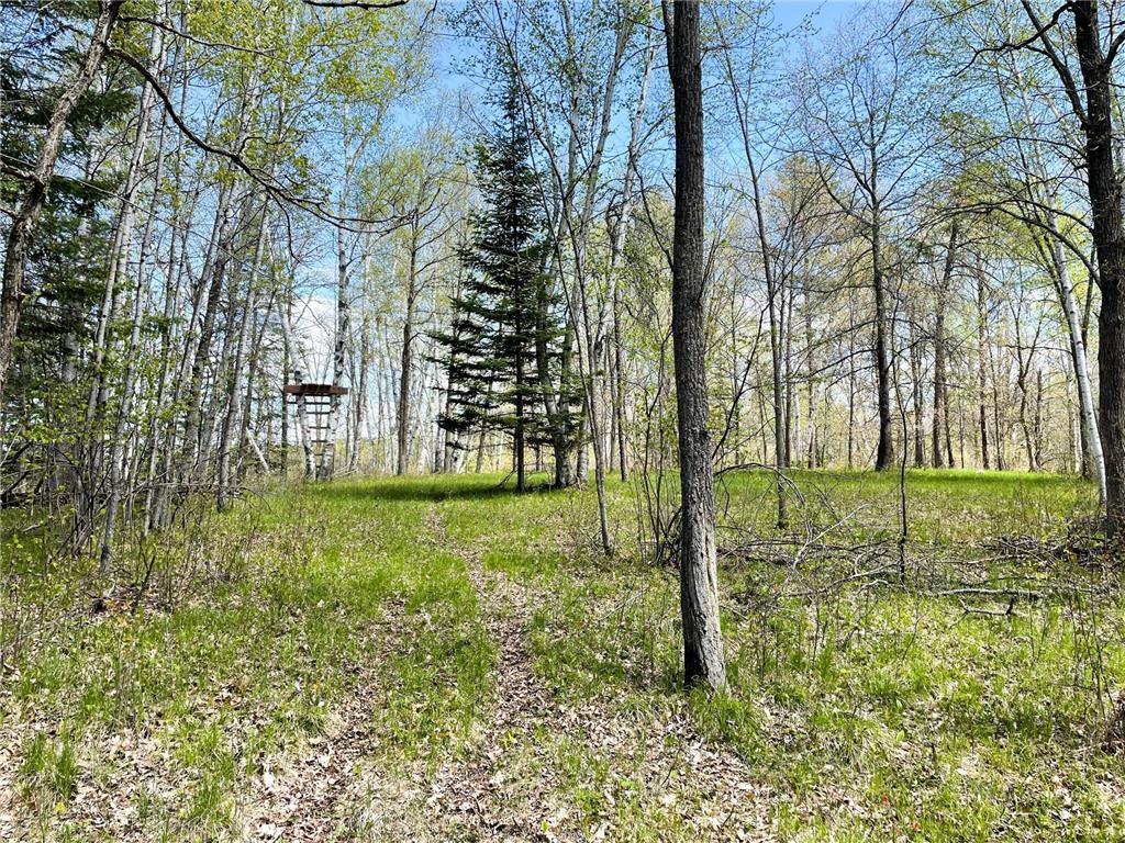TBD 15th Street NW Bemidji Twp MN 56601 7040581 image30
