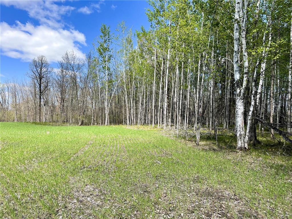 TBD 15th Street NW Bemidji Twp MN 56601 7040581 image31