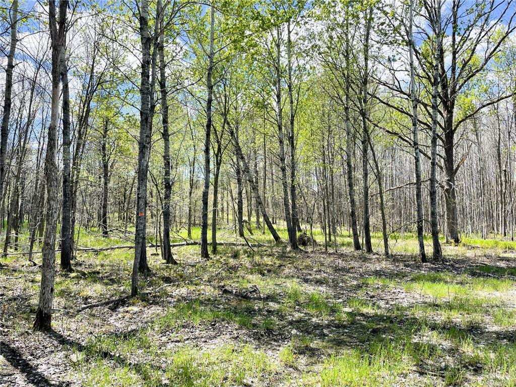 TBD 15th Street NW Bemidji Twp MN 56601 7040581 image32
