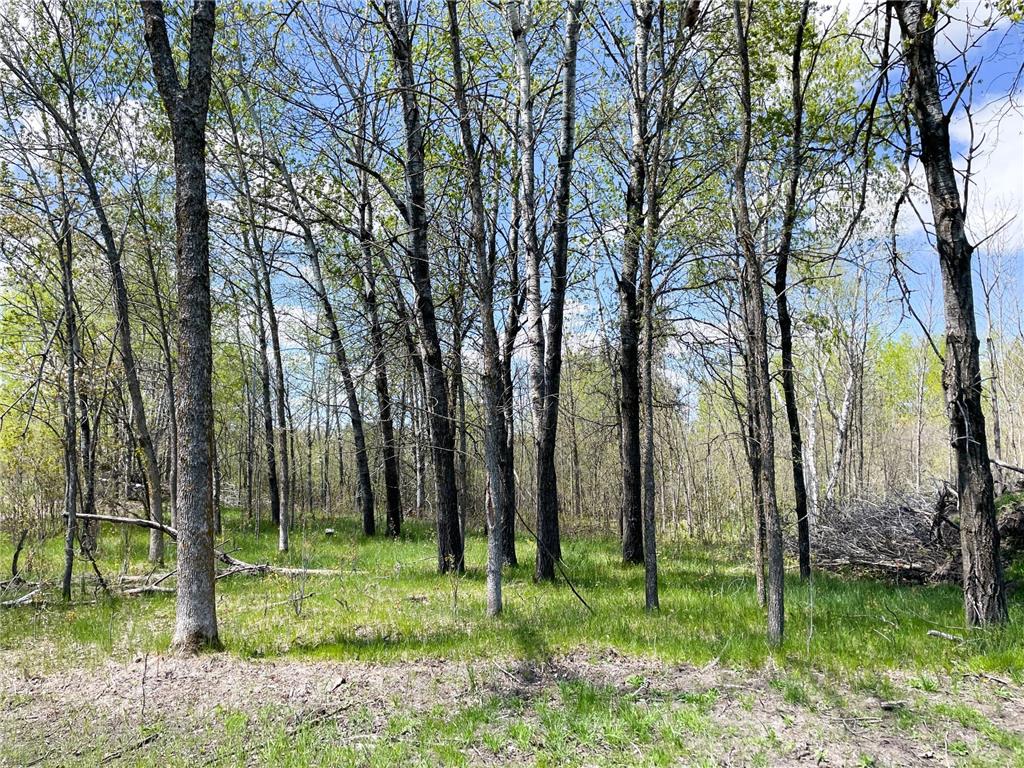 TBD 15th Street NW Bemidji Twp MN 56601 7040581 image33