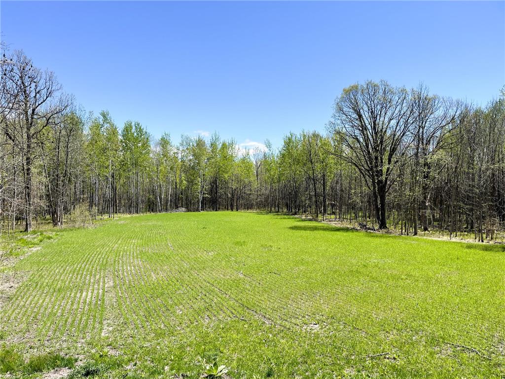 TBD 15th Street NW Bemidji Twp MN 56601 7040581 image4