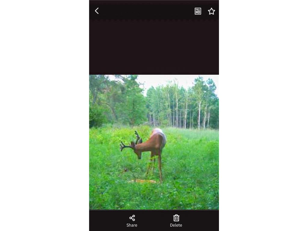 TBD 15th Street NW Bemidji Twp MN 56601 7040581 image44