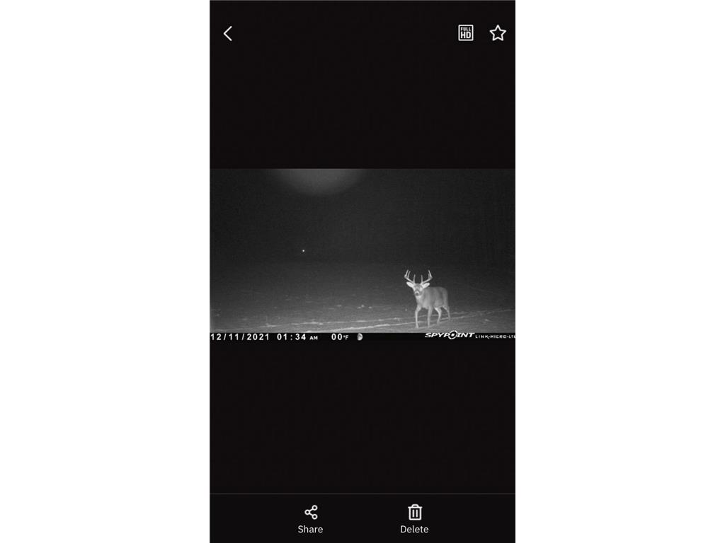 TBD 15th Street NW Bemidji Twp MN 56601 7040581 image45