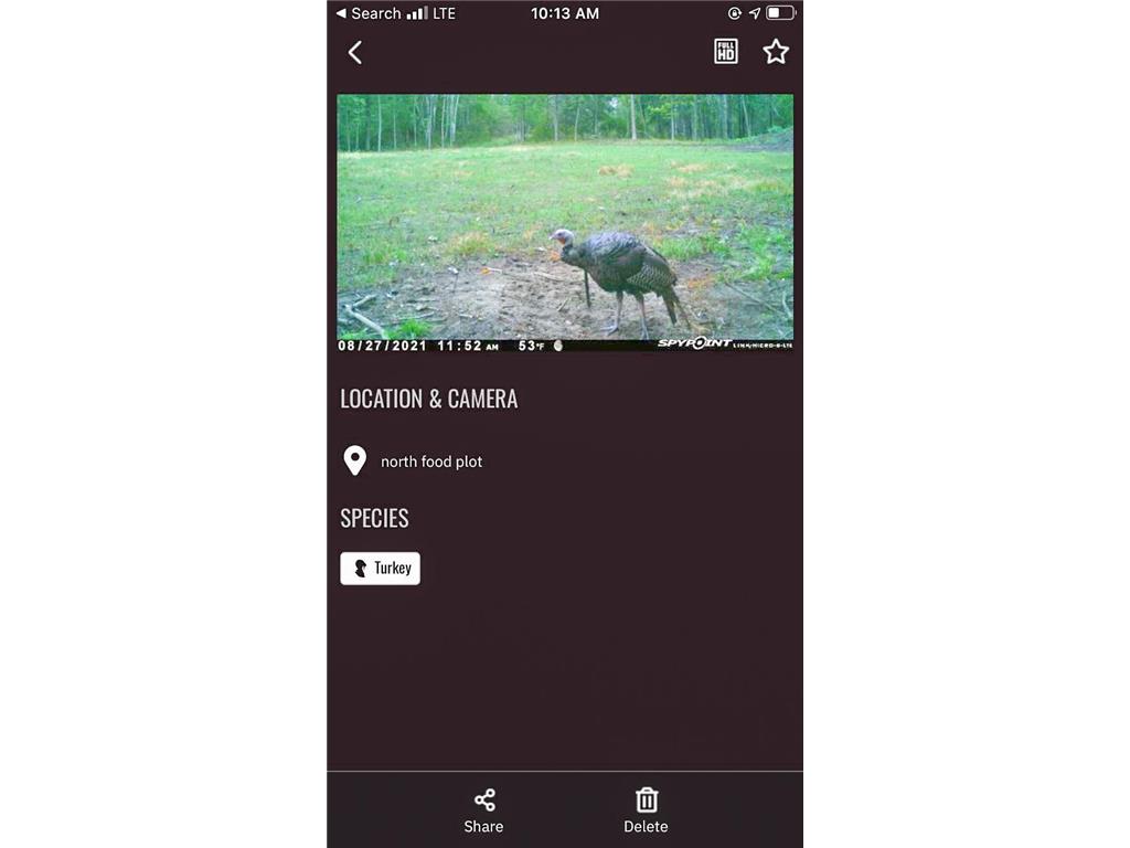 TBD 15th Street NW Bemidji Twp MN 56601 7040581 image48