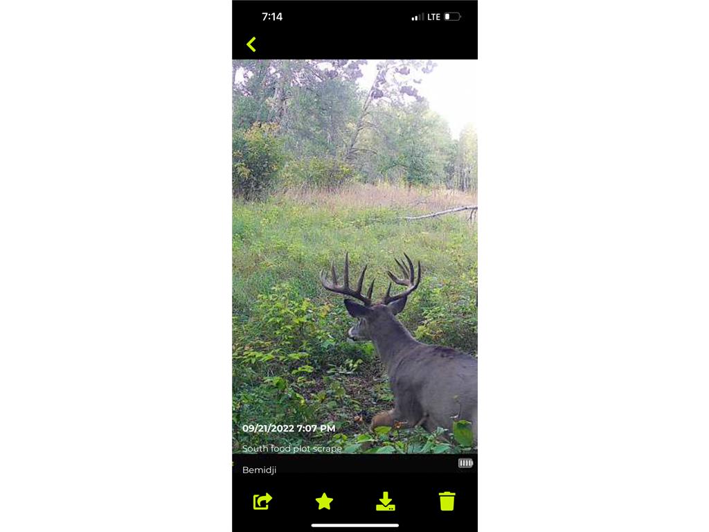 TBD 15th Street NW Bemidji Twp MN 56601 7040581 image5