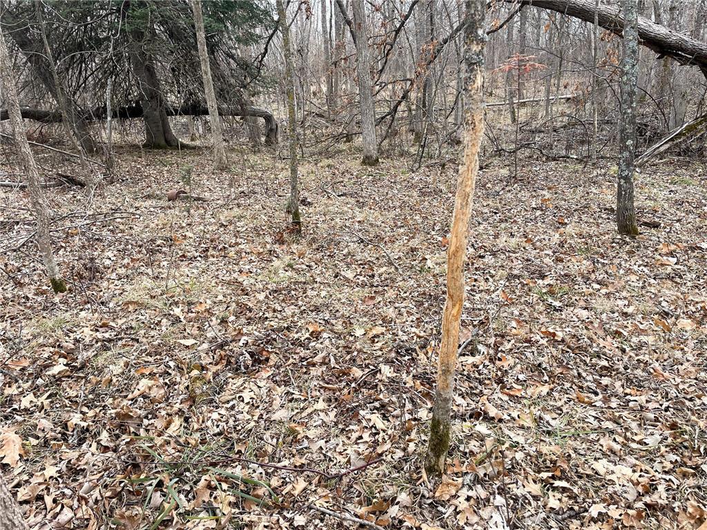 TBD 15th Street NW Bemidji Twp MN 56601 7040581 image50