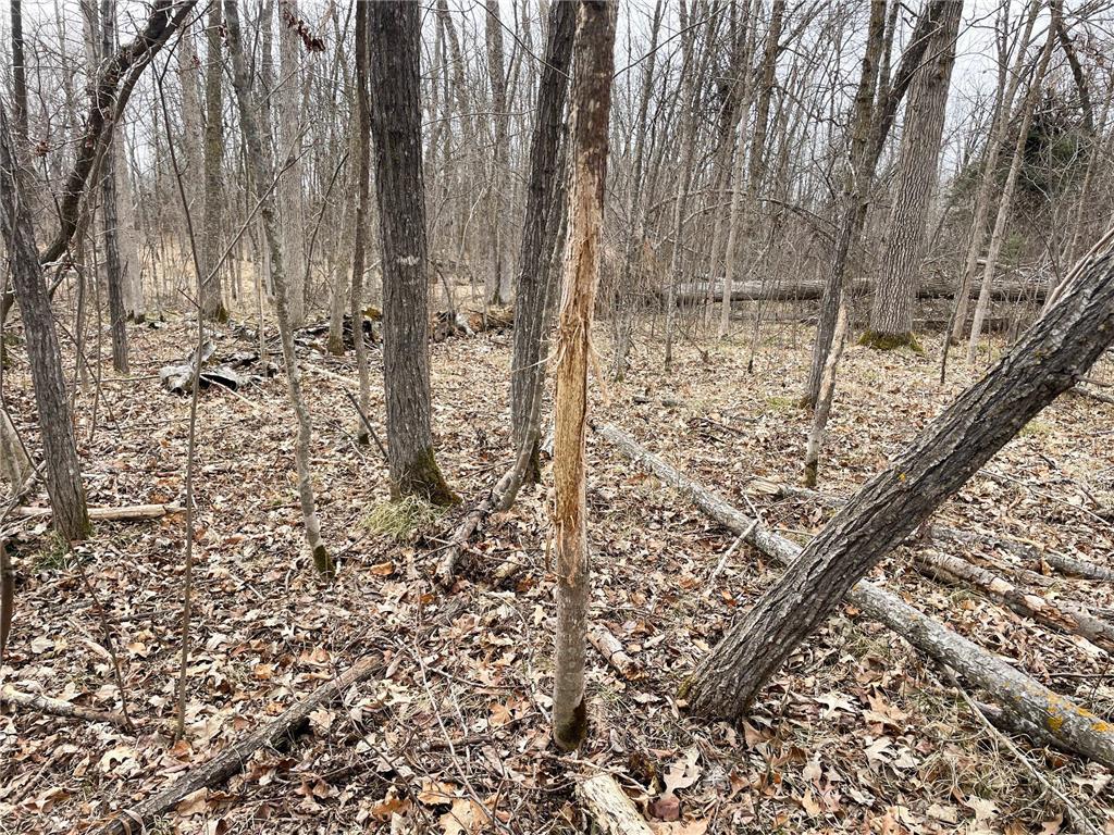 TBD 15th Street NW Bemidji Twp MN 56601 7040581 image52