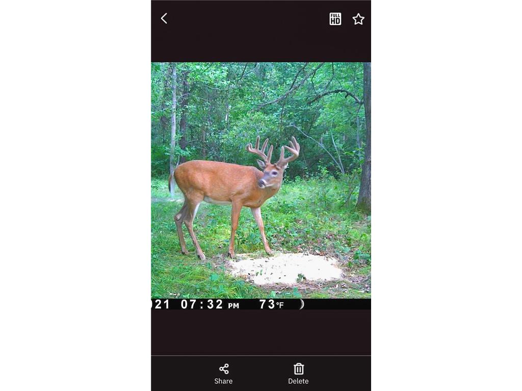 TBD 15th Street NW Bemidji Twp MN 56601 7040581 image6