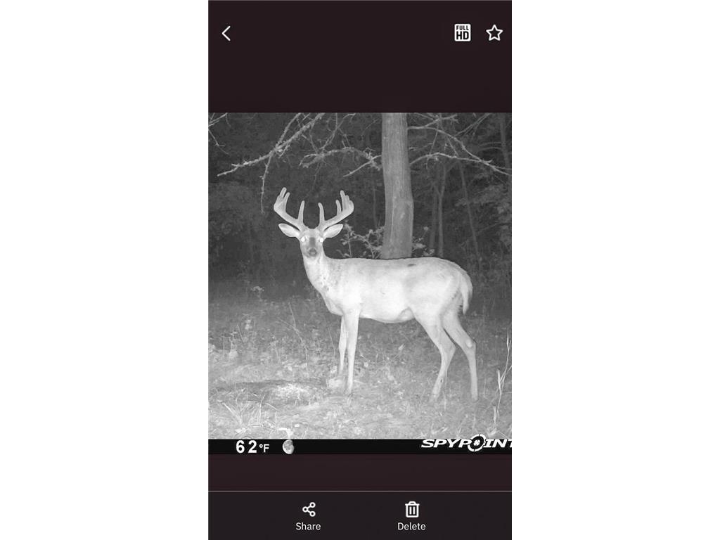 TBD 15th Street NW Bemidji Twp MN 56601 7040581 image7