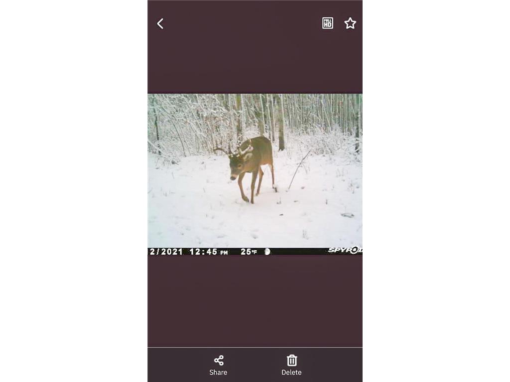 TBD 15th Street NW Bemidji Twp MN 56601 7040581 image8