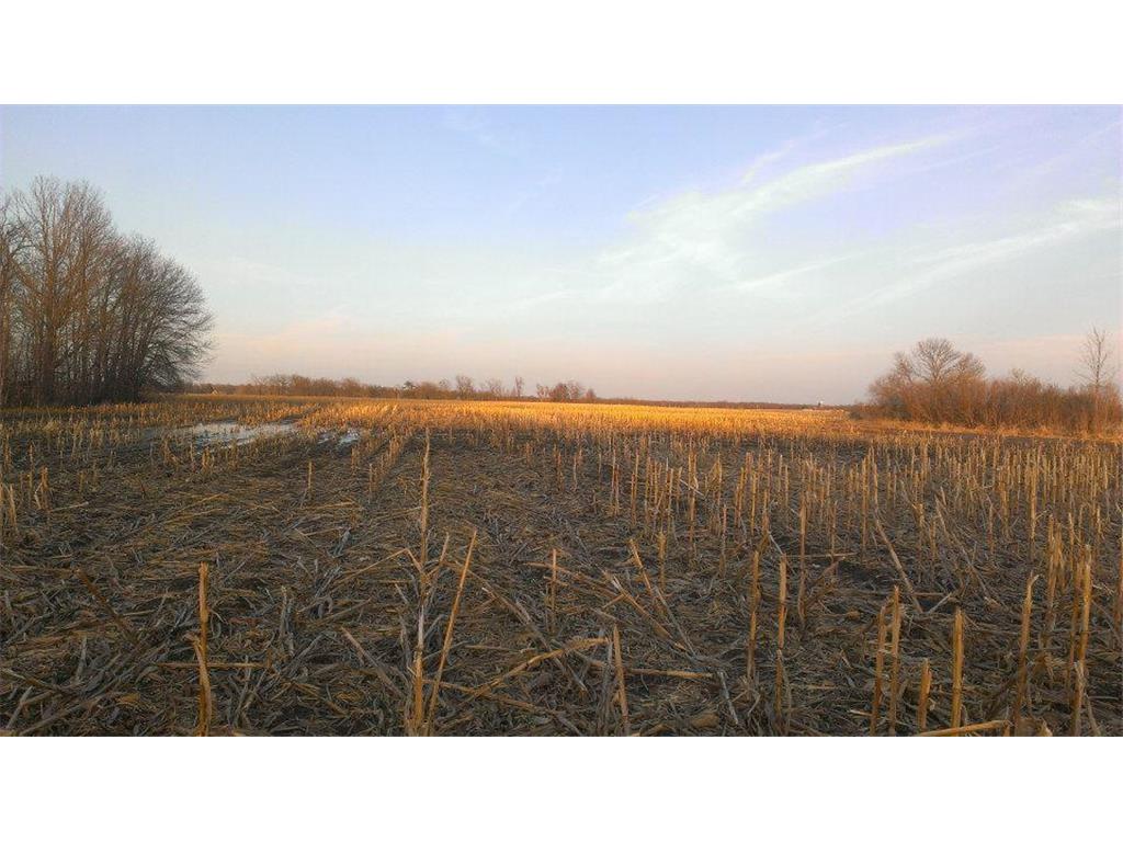 TBD 16-005-0102 Mille Lacs County Princeton Twp MN 55371 7044458 image1