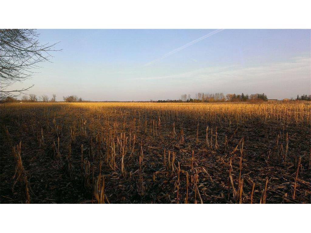 TBD 16-005-0102 Mille Lacs County Princeton Twp MN 55371 7044458 image2