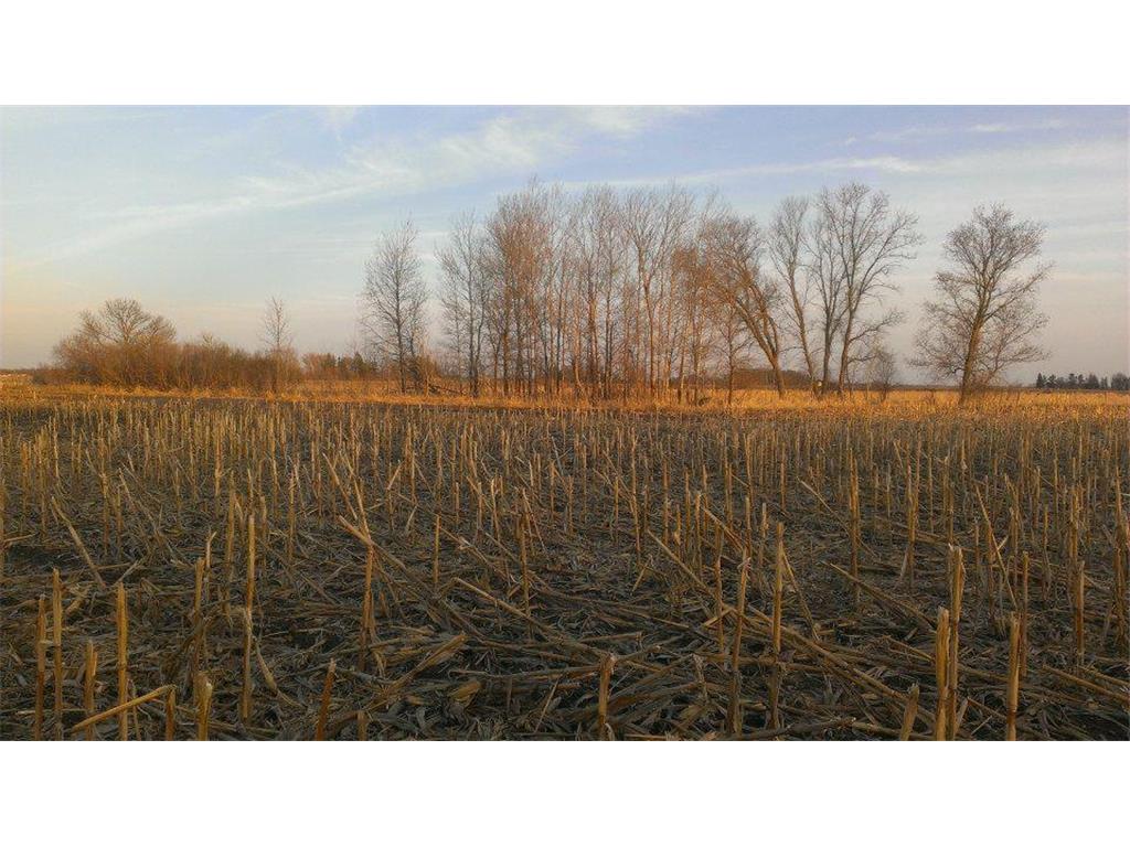TBD 16-005-0102 Mille Lacs County Princeton Twp MN 55371 7044458 image3