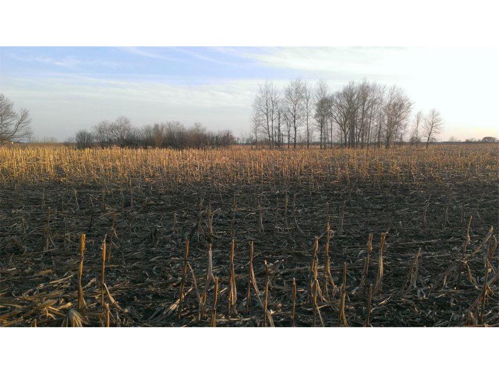 TBD 16-005-0102 Mille Lacs County Princeton Twp MN 55371 7044458 image4