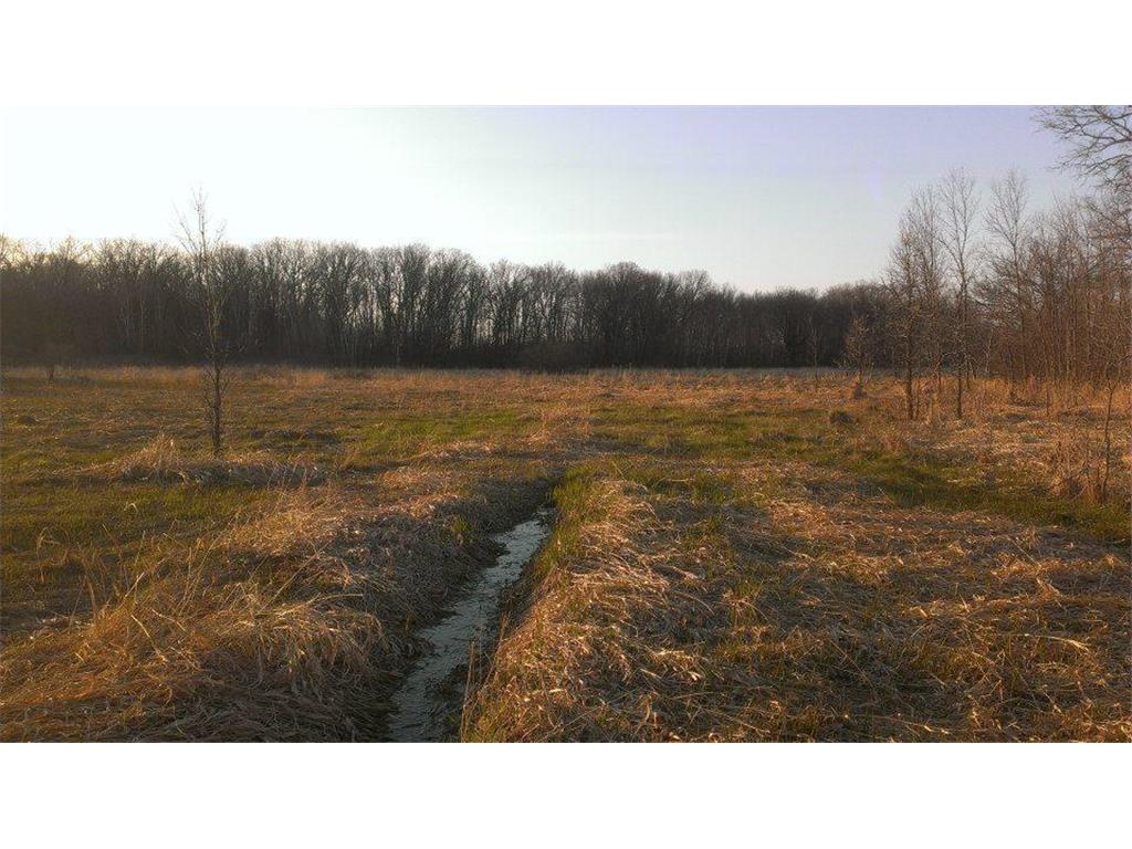TBD 16-005-0102 Mille Lacs County Princeton Twp MN 55371 7044458 image6