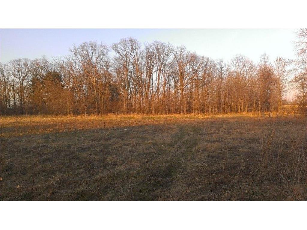TBD 16-005-0102 Mille Lacs County Princeton Twp MN 55371 7044458 image7