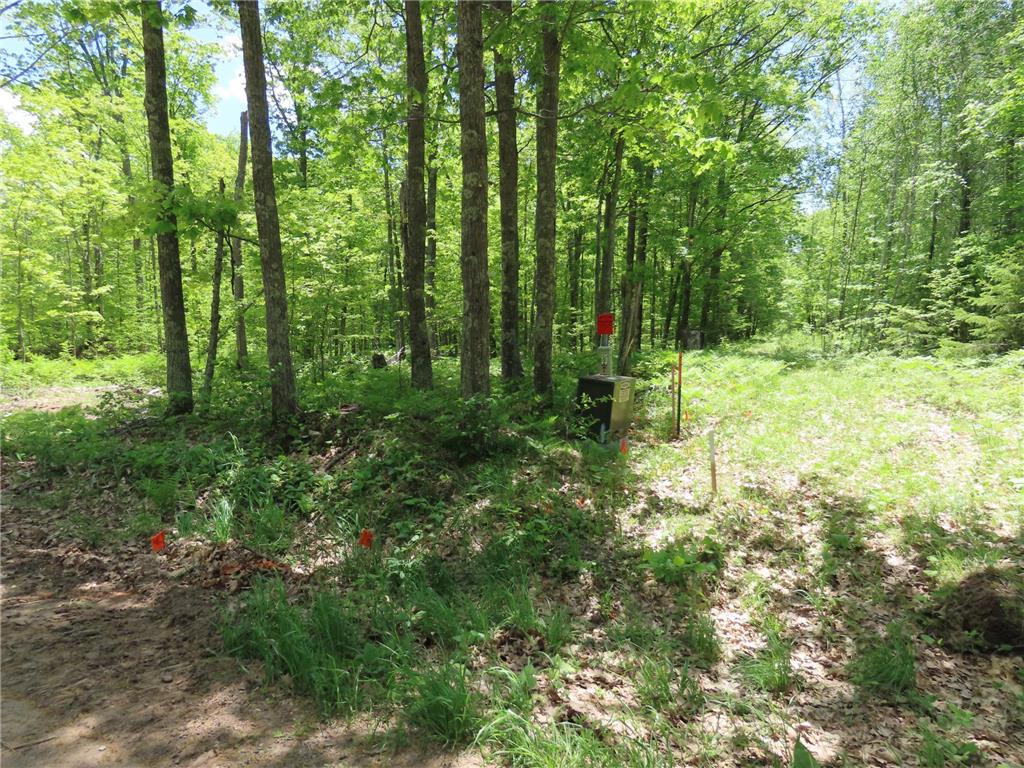 TBD 160th Lane Isle MN 56350 - Bear 6218215 image1