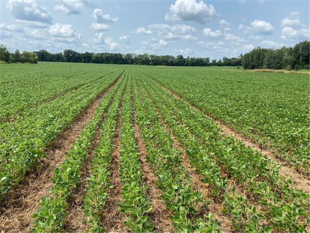 TBD 160th St. Foreston MN 56330 7007331 image1