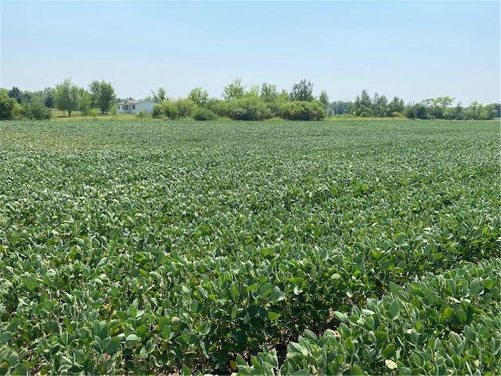 TBD 160th St. Foreston MN 56330 7007331 image2