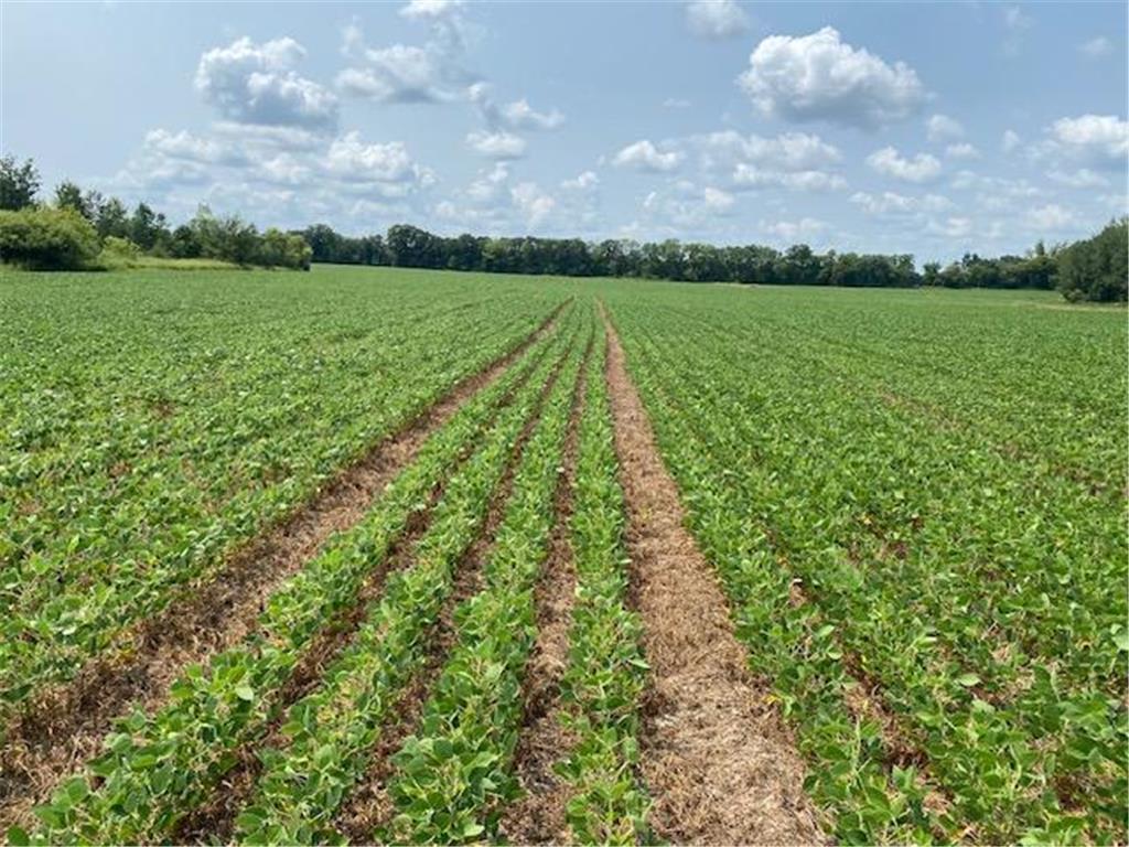 TBD 160th St. Foreston MN 56330 7007331 image5