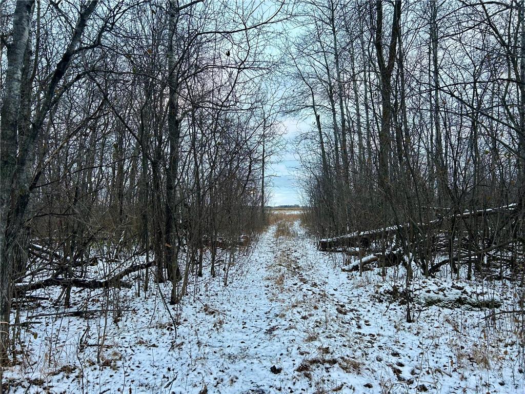 TBD 160th Street NE Norden Twp MN 56701 6822604 image1