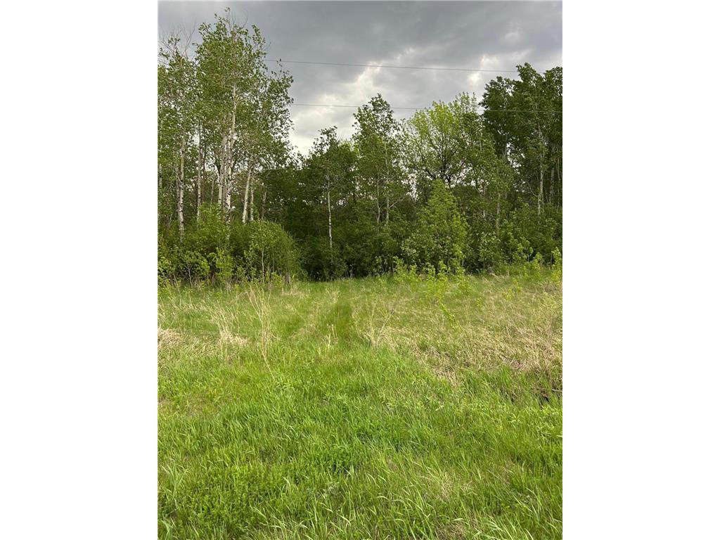 TBD 160th Street NE Norden Twp MN 56701 6822604 image2