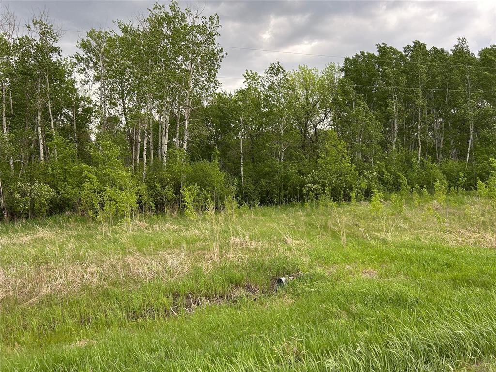 TBD 160th Street NE Norden Twp MN 56701 6822604 image3