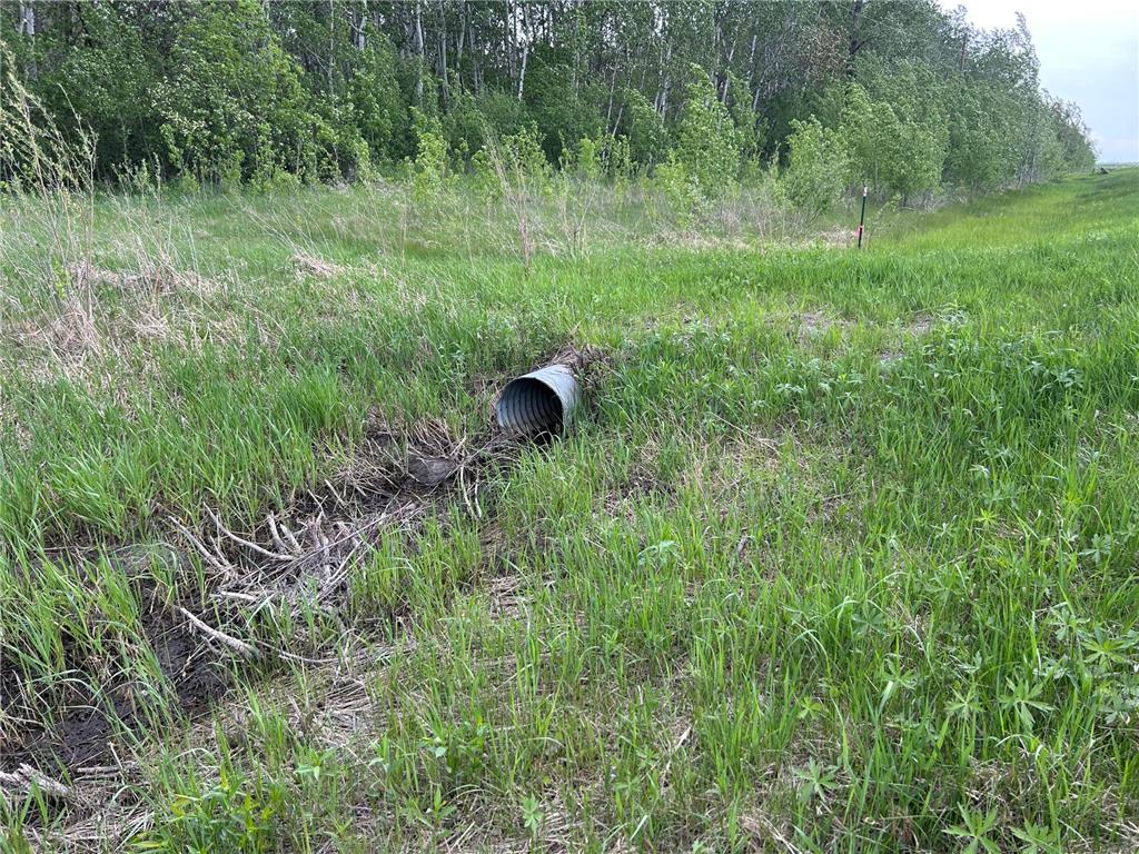 TBD 160th Street NE Norden Twp MN 56701 6822604 image4