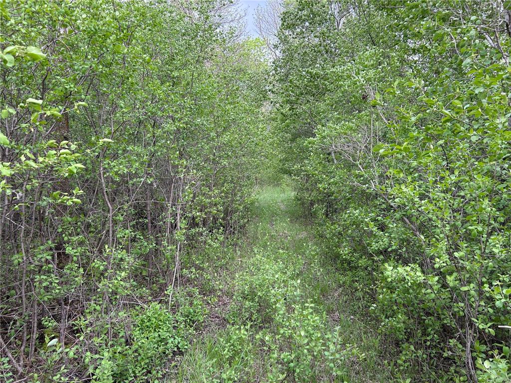 TBD 160th Street NE Norden Twp MN 56701 6822604 image5