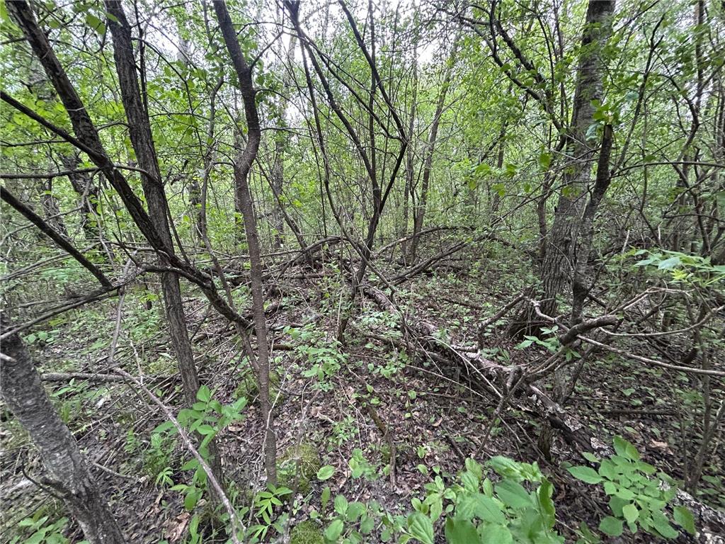 TBD 160th Street NE Norden Twp MN 56701 6822604 image6