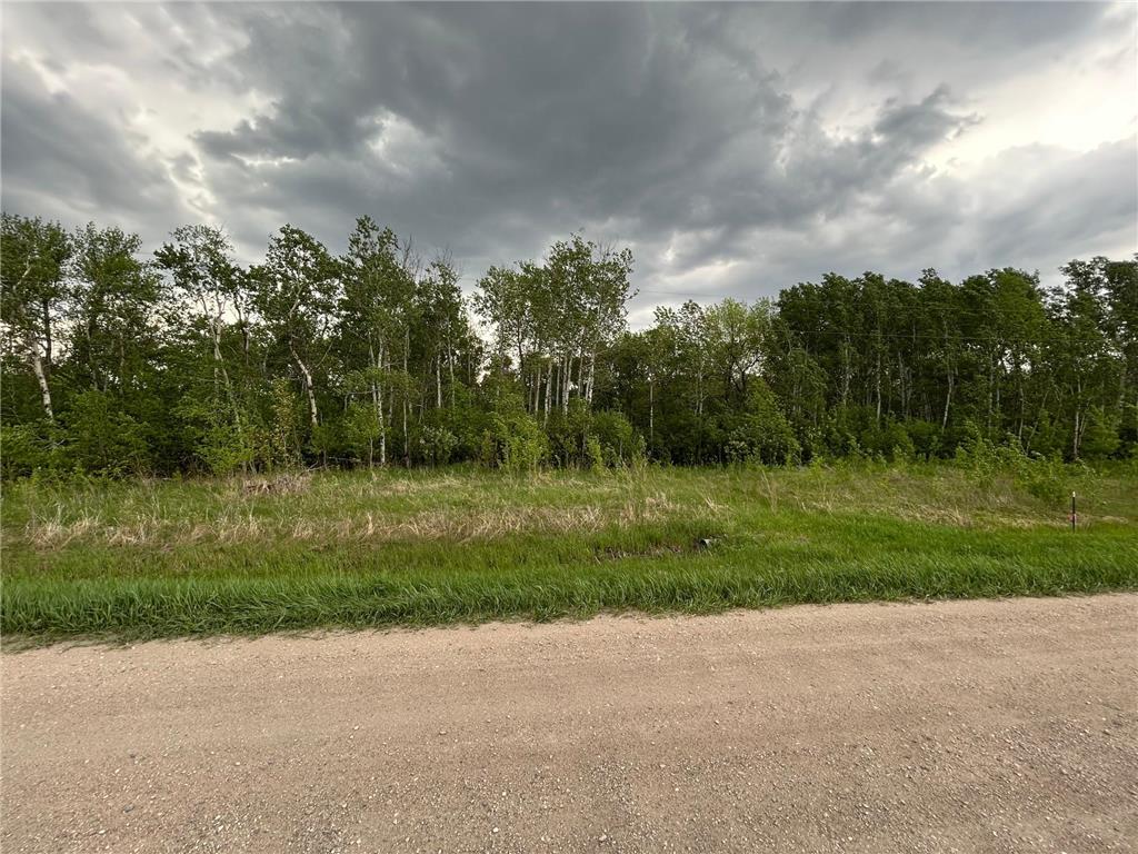 TBD 160th Street NE Norden Twp MN 56701 6822604 image7
