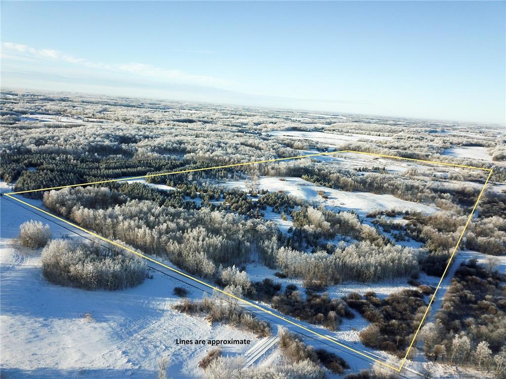 TBD 161st Avenue Eddy Twp MN 56634 7007635 image1