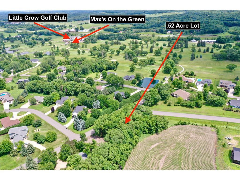 TBD 161st Avenue NE New London Twp MN 56273 7013842 image2