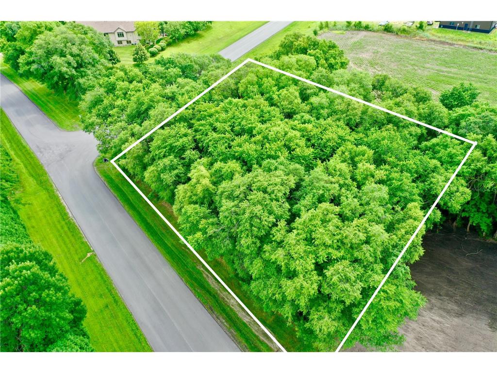 TBD 161st Avenue NE New London Twp MN 56273 7013842 image3