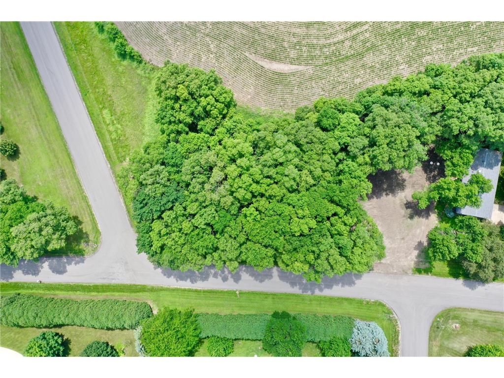 TBD 161st Avenue NE New London Twp MN 56273 7013842 image4