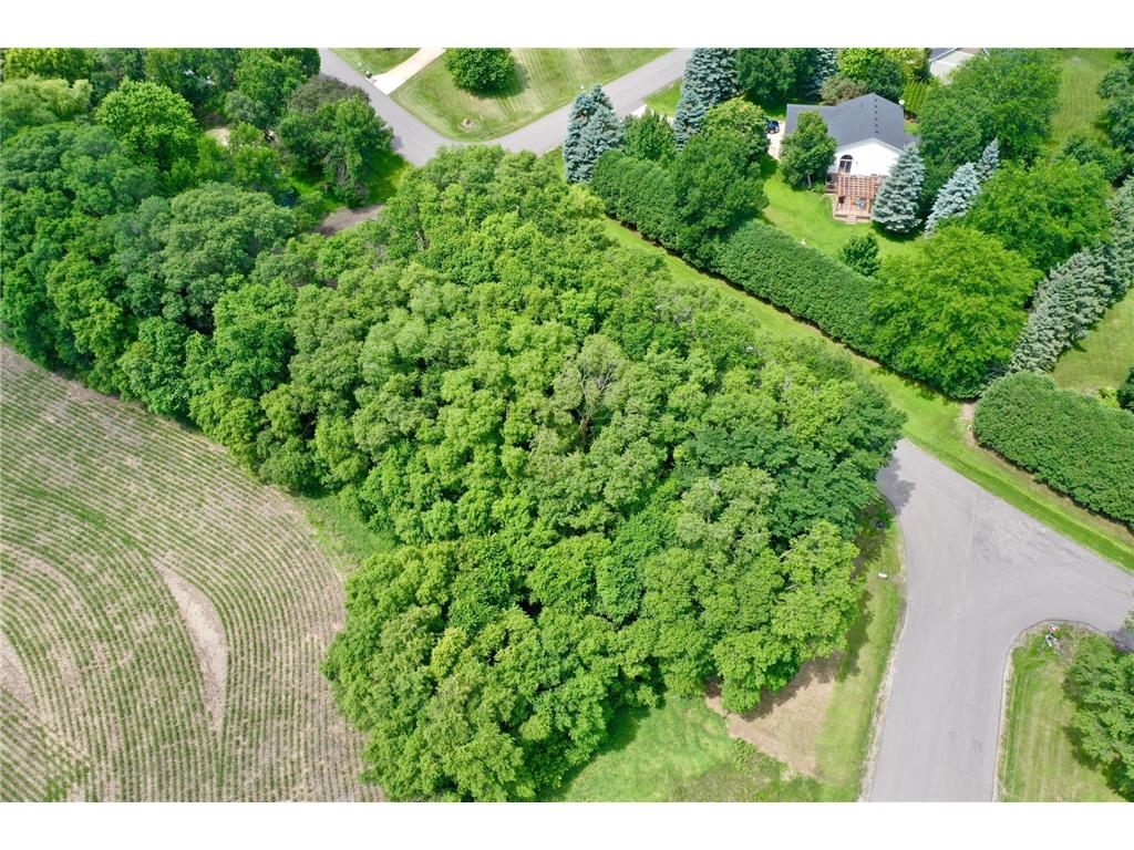 TBD 161st Avenue NE New London Twp MN 56273 7013842 image5