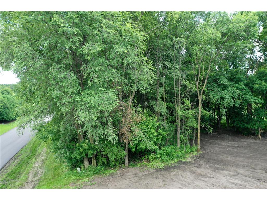 TBD 161st Avenue NE New London Twp MN 56273 7013842 image6