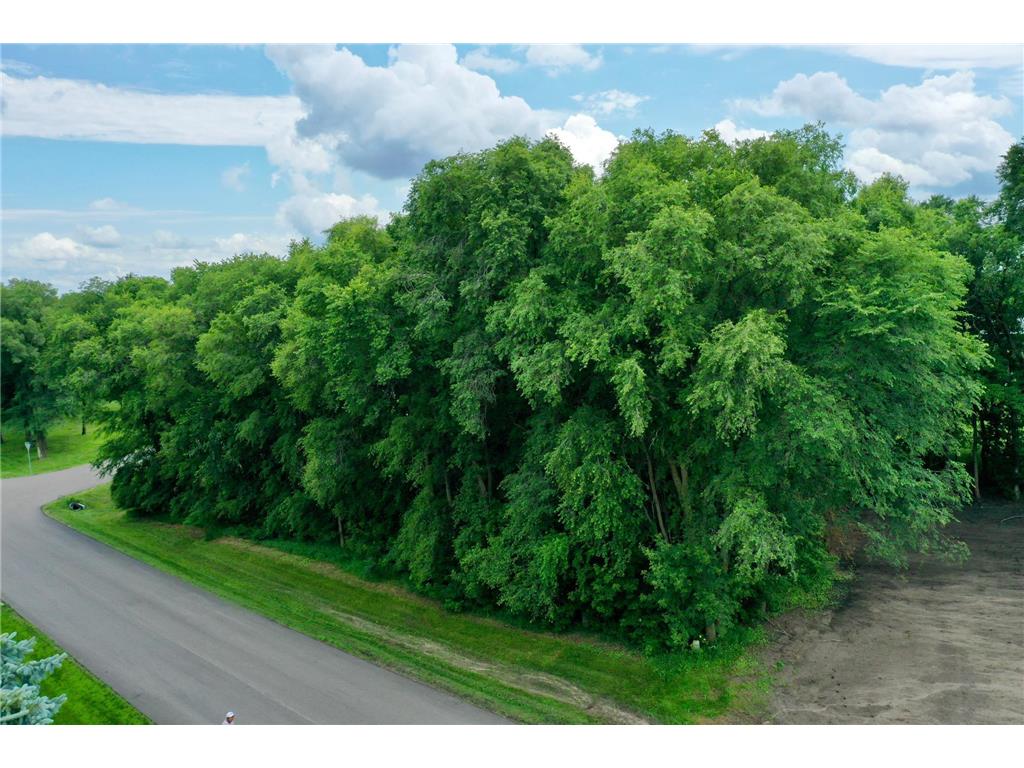 TBD 161st Avenue NE New London Twp MN 56273 7013842 image8