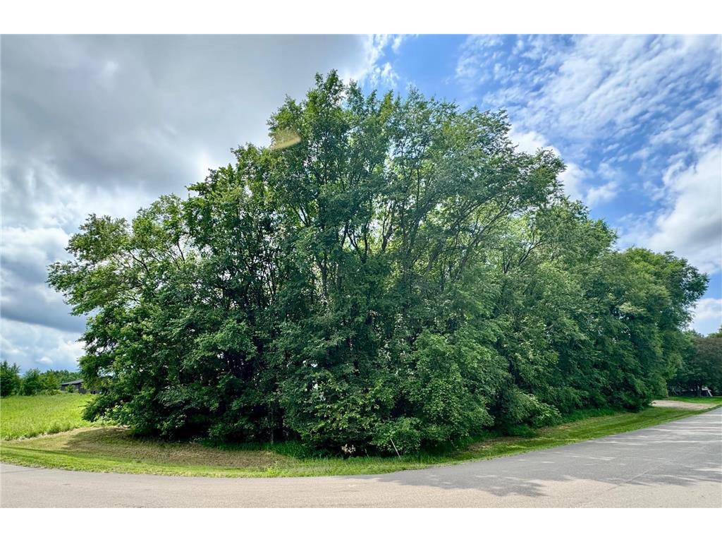TBD 161st Avenue NE New London Twp MN 56273 7013842 image9